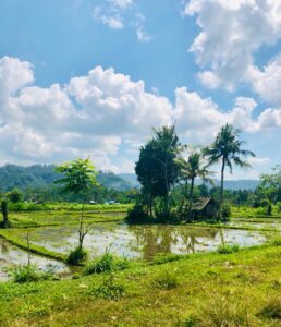 Retrait Bali_49